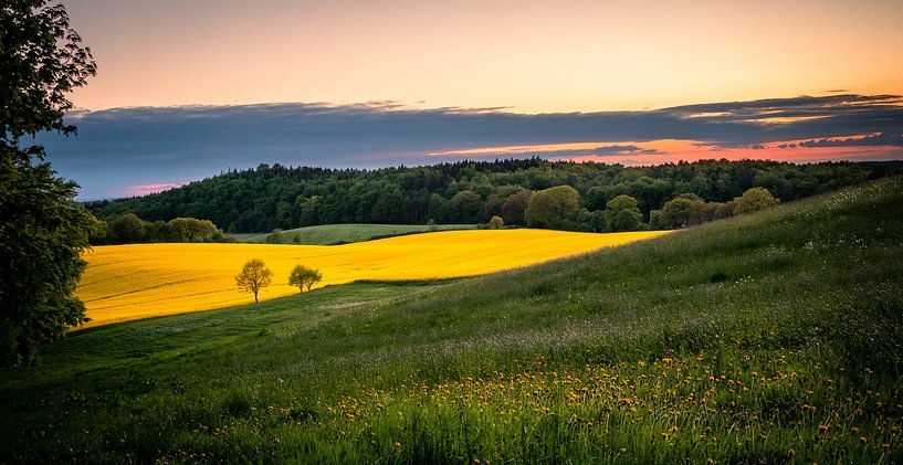 Farben des Frühlings von Nils Steiner