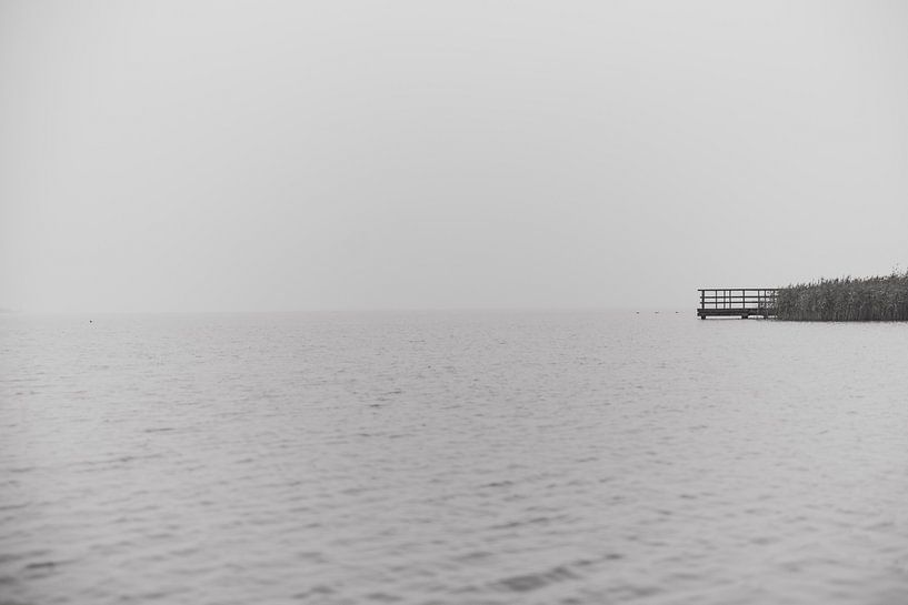 miss by Leonie Stolk