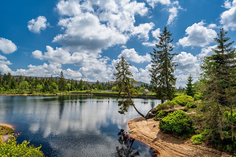 Uitzicht op de Oderteich vijver in het Harz gebergte in Duitsland van Andreas Völkel