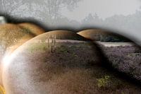 women buttocks in landscape