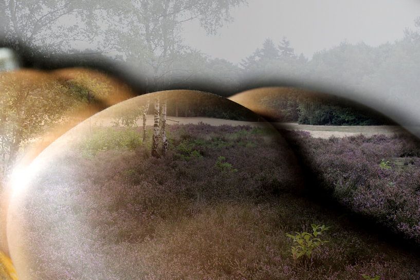 Frauen Gesäß in der Landschaft von Cor Heijnen