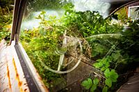 Bastnas car cemetery in sweden