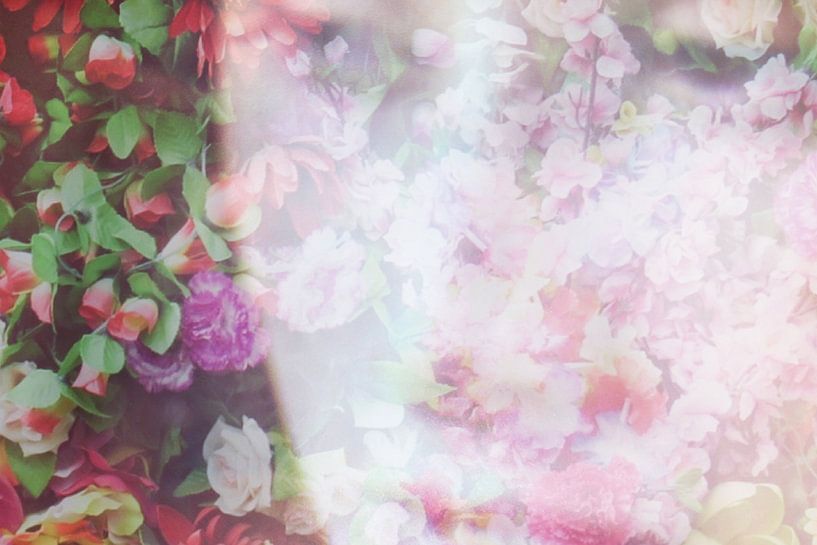 August mit Rosen von Marianna Pobedimova