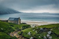 Painting Look - Keem Beach