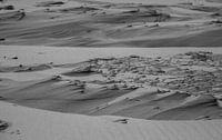 Dünen Texel schwarz und weiß