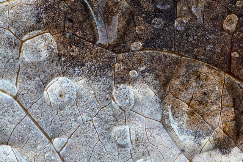 Nervenstruktur. von Wil Leurs