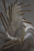 goldener Zickzackfaden