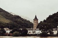 Une matinée le long du Rhin