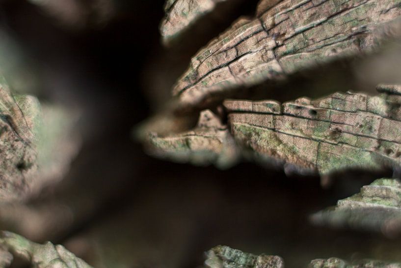 Hölzerne Krater von Maarten Krabbendam