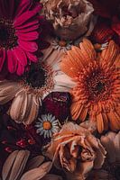 Still life Gerbera