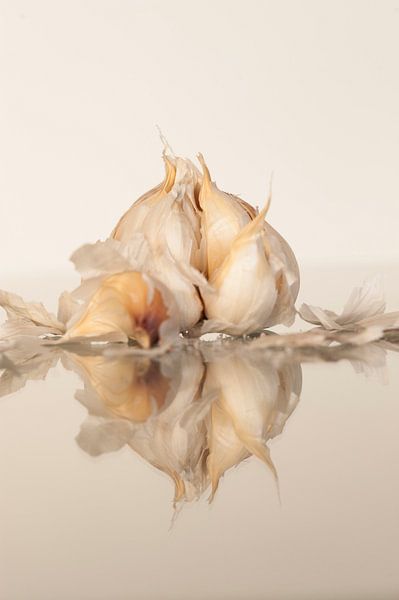 Knoblauch von Doris van Meggelen
