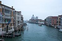 La vie dans l'eau - Venise