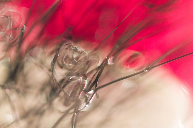 Energy by Cindy Mulder