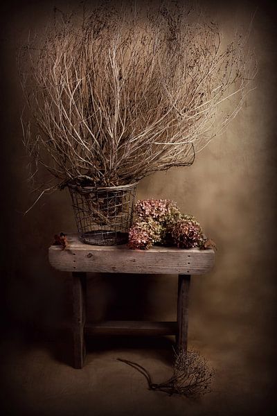 die Natur stirbt, aber verspricht neues Leben..... von Els Fonteine