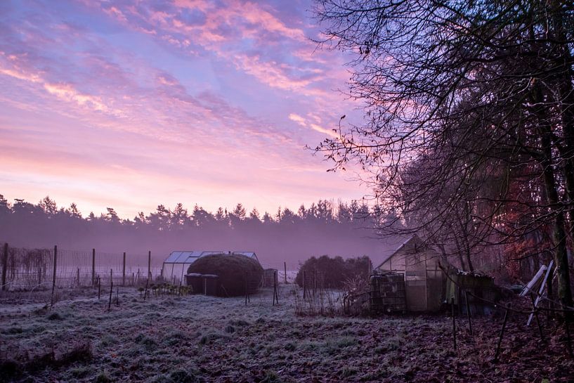 Sunrise Kootwijkerzand by Peter Haastrecht, van