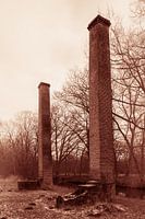 Die Wächter der untergegangenen Vergangenheit