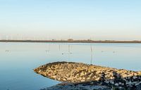 Oosterschelde - Netherlands