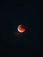 Eye of the night | Blood Moon