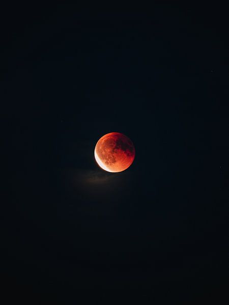 Eye of the night | Blood Moon by Ian Schepers