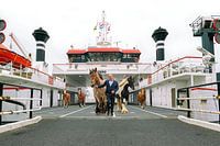 Smell the sea, leave the ferry, and feel free