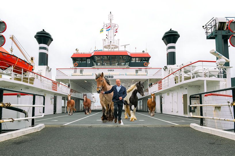 Smell the sea, leave the ferry, and feel free by Eilandkarakters Ameland