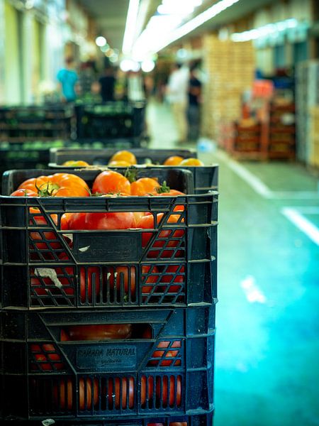 Versteckt hinter den Tomaten von Tatiana Tor Photography