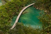 Winding path through Plitvice's turquoise lakes