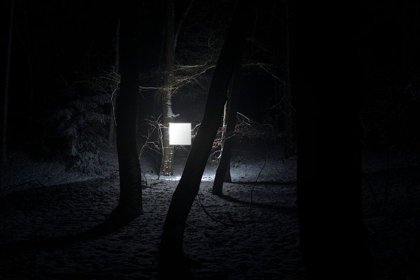 Schnee #2 von Casper Zuidwijk