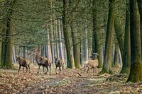 What about turning left?