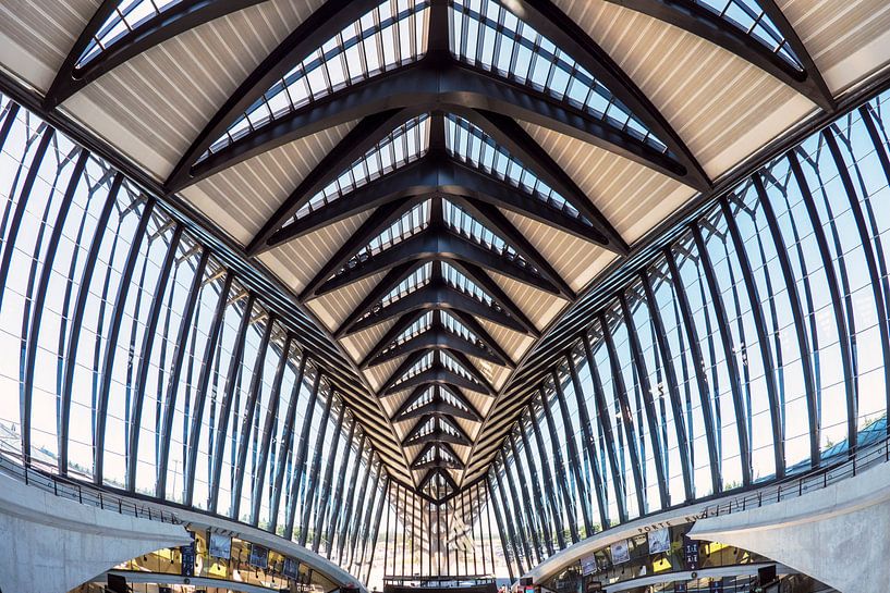 TGV station Saint Exupery by Ko Hoogesteger