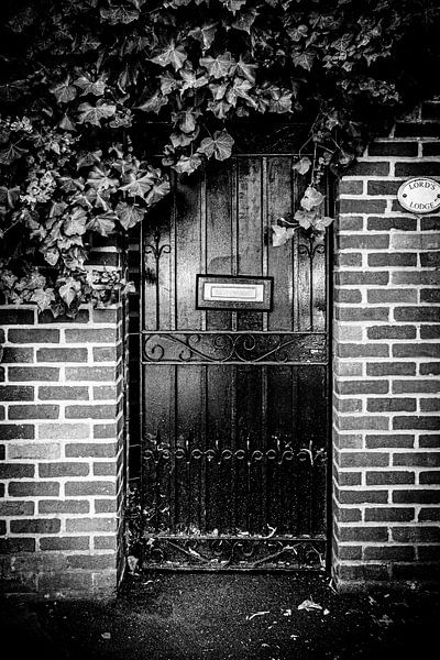 London | Door with ivy in Black and White | Travel photography by Diana van Neck Photography