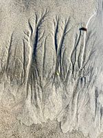 sand sculpture formed by the sea
