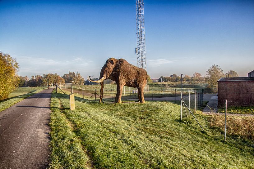 De Mammoet op de Kandiadijk in Groessen van Karlo Bolder