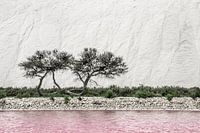 Salt mountains in the camargue