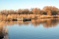 Zondagmorgen glorie bij het Valkenburgse meer