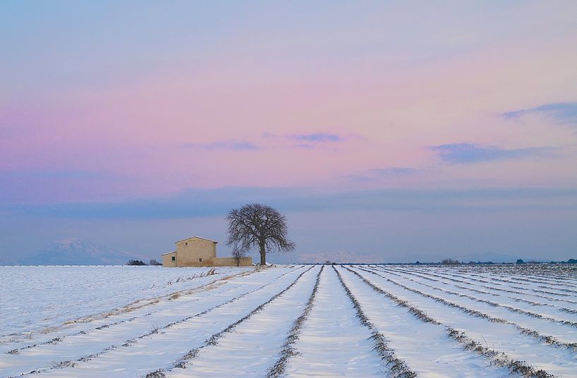 L'hiver est là by Georges Rudolph