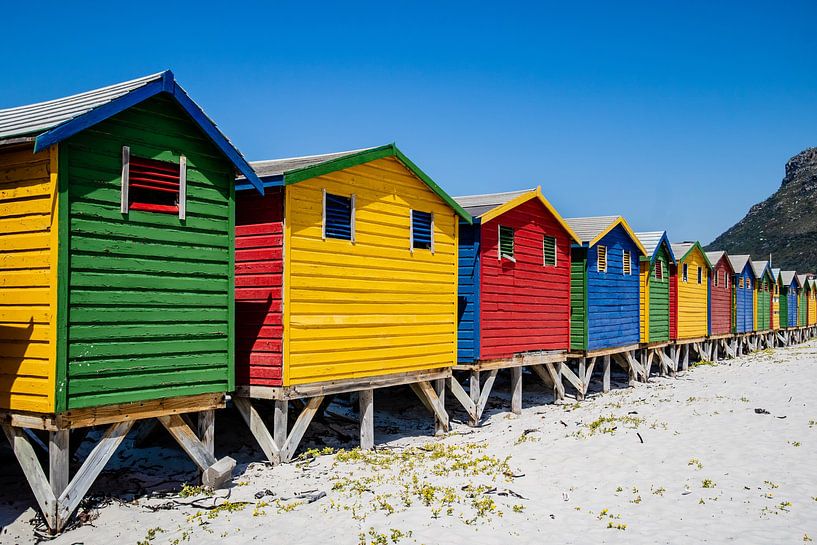 South Africa - Safaris, coastlines and vineyards by Patrick Fotografeert