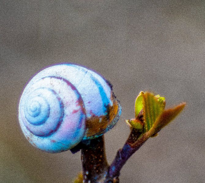 Tout le monde a droit à un logement par Truckpowerr