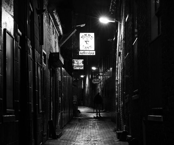 Papoose en pandémie par Ronn Perdok