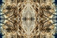 Photographic Quadrangle Schoonebeeker sheepskin - mandala shape, magical realism, symbolism