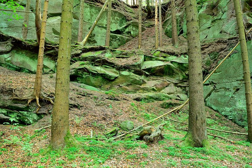 Steinbruch im Wald by Karin Sigwarth