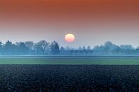 Winter in the Netherlands