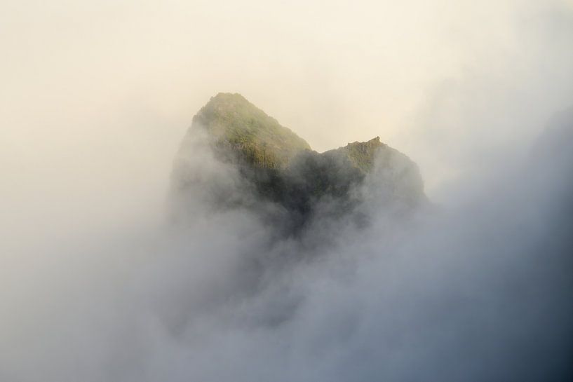 Enthüllt von John Goossens Photography