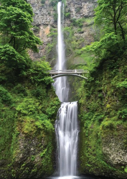 Brücke zur Natur von Randy Barbara
