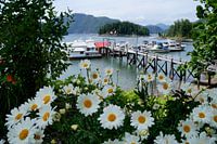 Ruhiger und schöner kleiner Hafen Knight Inlet