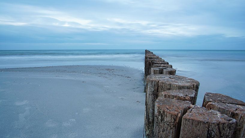 Ins Meer ragende Buhnen. Aufgenommen in Zingst, auf dem Darß. Die Perspektive ist auf den Horizont g von Martin Köbsch