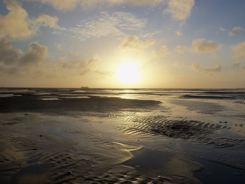 Het Wad by Margriet Adema