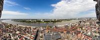 View from Antwerp Cathedral: On the left bank