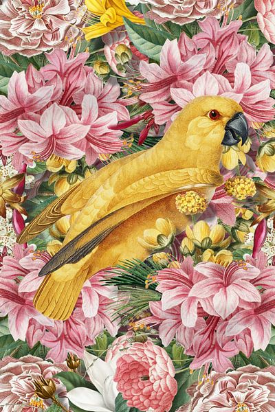 The Big Yellow in Pink par Marja van den Hurk