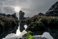 La côte volcanique de l'Islande